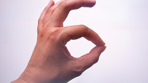 Twórczość bez słów. Podsumowanie projektu „PJM – język, kultura, tożsamość”