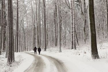 Rajd Mikołajkowy przez Las Pietrasze. Będzie ognisko i Święty Mikołaj