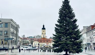 Jarmark, spektakle, koncerty i nie tylko! Zobacz, co wydarzy się w weekend
