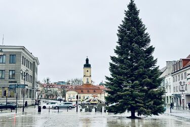 Jarmark, spektakle, koncerty i nie tylko! Zobacz, co wydarzy się w weekend