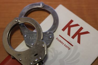 Białostoccy śledczy zatrzymali 74-latkę. Usłyszała 40 zarzutów