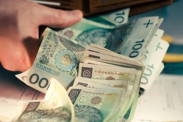 Długi staż, skromna emerytura. Ile rolnicy dostaną z KRUS?