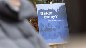 Rekordowy sezon turystyczny w Podlaskiem. Samorząd planuje kolejne działania