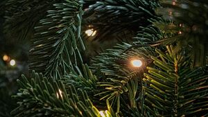 Spotkanie z Mikołajem na Kawaleryjskiej. Będą też rozdawać choinki