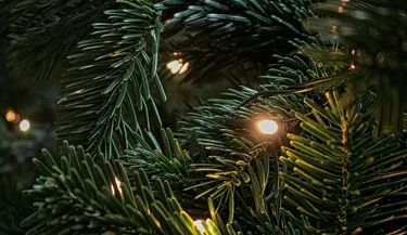 Spotkanie z Mikołajem na Kawaleryjskiej. Będą też rozdawać choinki