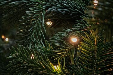 Spotkanie z Mikołajem na Kawaleryjskiej. Będą też rozdawać choinki