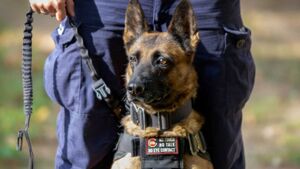 Luna przechodzi na emeryturę. Przez 8 lat tropiła zaginionych i przestępców