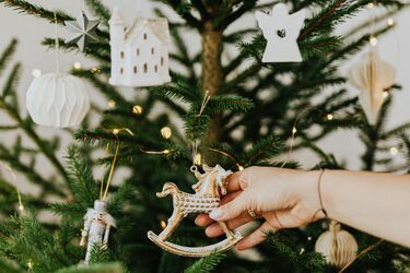 Wymień sztuczną choinkę na żywą. Setki drzewek czekają na mieszkańców miasta