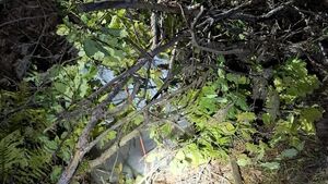 Przemycali papierosy balonami z Białorusi. Grozi im nawet 30 lat więzienia