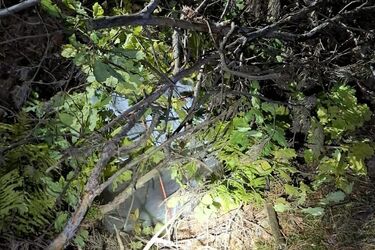 Przemycali papierosy balonami z Białorusi. Grozi im nawet 30 lat więzienia