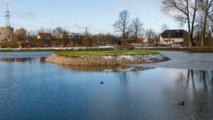 Padłe łabędzie na stawach Marczukowskich. Wykryto groźną chorobę