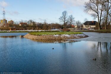 Padłe łabędzie na stawach Marczukowskich. Wykryto groźną chorobę
