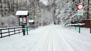 Trasy narciarskie w Biebrzańskim Parku Narodowym. Sezon zimowy rozpoczęty