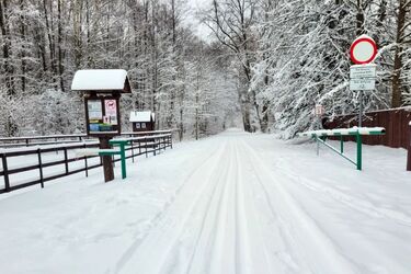 Trasy narciarskie w Biebrzańskim Parku Narodowym. Sezon zimowy rozpoczęty