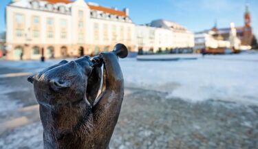 Rodzina WidziMisiów rośnie. W Białymstoku pojawiły się kolejne figurki