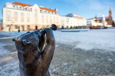 Rodzina WidziMisiów rośnie. W Białymstoku pojawiły się kolejne figurki