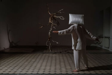 „To nie jest karnawał”. Podlaska sztuka między performansem a wizualnością