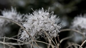 Zimny poranek na Podlasiu. Miejscami było blisko –15 stopni