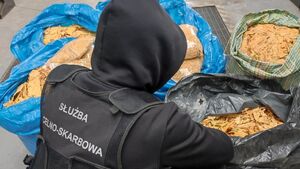 Kontrabanda w domu i aucie. Funkcjonariusze zabezpieczyli ponad 66 kg tytoniu