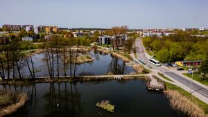 Białystok chroni przyrodę. Miasto ustanowiło pierwszy użytek ekologiczny