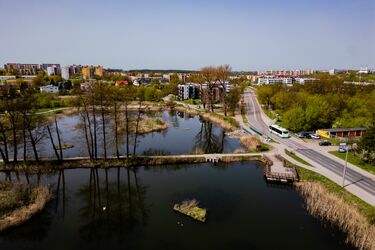 Białystok chroni przyrodę. Miasto ustanowiło pierwszy użytek ekologiczny
