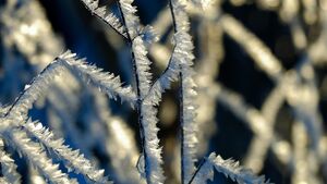 Zima nie odpuszcza. Mróz może jeszcze się nasilić