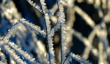 Zima nie odpuszcza. Mróz może jeszcze się nasilić
