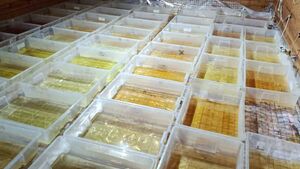 Policja zlikwidowała laboratorium narkotykowe. Zatrzymano trzech mężczyzn