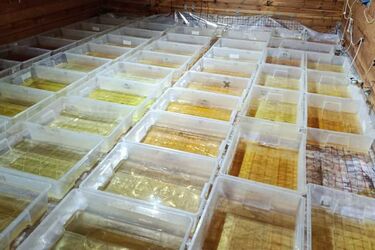 Policja zlikwidowała laboratorium narkotykowe. Zatrzymano trzech mężczyzn