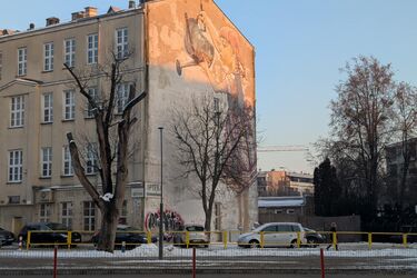 34. Finał  WOŚP to nie wszystko. Zobacz przegląd wydarzeń weekendowych