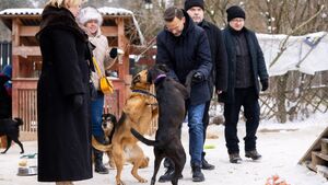 Podlaskie schroniska gotowe na mrozy. Wojewoda sprawdził warunki zwierząt