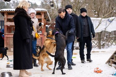 Podlaskie schroniska gotowe na mrozy. Wojewoda sprawdził warunki zwierząt