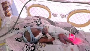 Aurelia, Nikodem i Franciszek. Niezwykłe narodziny trojaczków