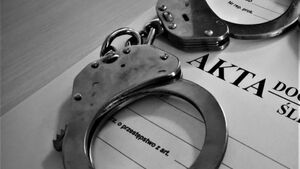 166 osób poszkodowanych. Internetowi oszuści trafili w ręce policji