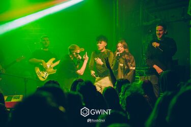 Domówka Kolorka coraz bliżej. Znamy kulisy wydarzenia i nowe atrakcje