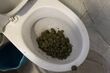 Marihuana w toalecie, amfetamina w wannie. Policyjna akcja w Białymstoku