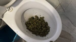 Marihuana w toalecie, amfetamina w wannie. Policyjna akcja w Białymstoku