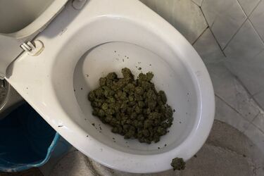 Marihuana w toalecie, amfetamina w wannie. Policyjna akcja w Białymstoku