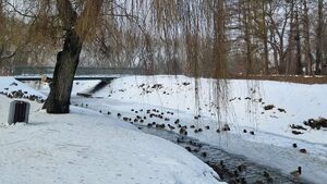 Coraz chłodniej na Podlasiu. Weekend pod znakiem mrozu