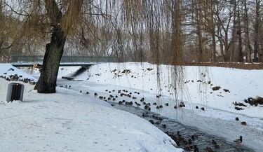 Coraz chłodniej na Podlasiu. Weekend pod znakiem mrozu
