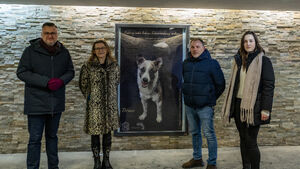 Te psy i koty czekają na adopcję. Wystawa w Białymstoku pokazuje ich portrety