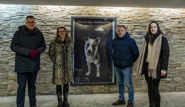 Te psy i koty czekają na adopcję. Wystawa w Białymstoku pokazuje ich portrety