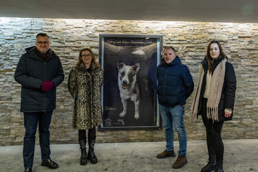 Te psy i koty czekają na adopcję. Wystawa w Białymstoku pokazuje ich portrety