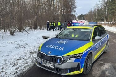 Tragiczne zderzenie z łosiem w Janowiczach. Nie żyje kierowca