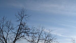 Zapowiada się mroźna noc. Temperatura spadnie nawet do -16 stopni