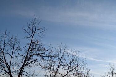 Zapowiada się mroźna noc. Temperatura spadnie nawet do -16 stopni