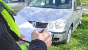 Akcja "Zieleniec". Straż miejska zintensyfikuje kontrole 