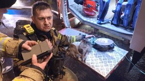 Pożar domu w Łapach. Strażacy uratowali małego psa