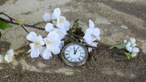 Będziemy spać o godzinę krócej. Kiedy przestawiamy zegarki?