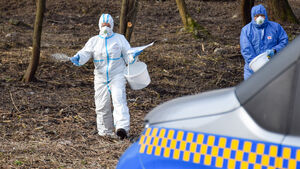 Białystok walczy z dzikami. Specjalny preparat pojawi się na osiedlach